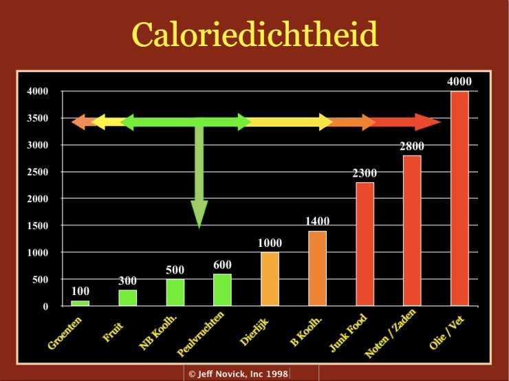 Wetenschappelijke grafiek die toont hoeveel calorieën om af te vallen nodig zijn op basis van de dagelijkse energiebalans